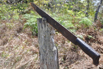 And Then He Fled Into The Woods...