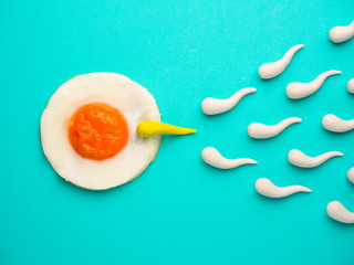 Sperm competition go to fried egg