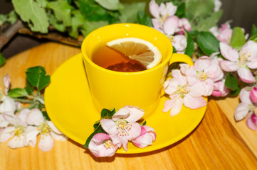 Obraz na płótnie Canvas cup of tea and jasmine flowers