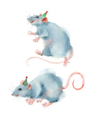 Watercolor christmas card. Funny rats in christmas hat on white background. - 310466893