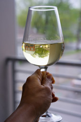 A glass of white wine with reflection and hand holding over sky background.