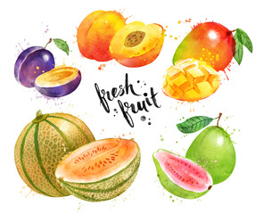 Watercolor illustration collection of fruit