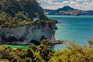 Poster View over cliffy shore of Te Whanganui-A-Hei Marine Reserve on Northern island in New Zealand in summer © Aquarius