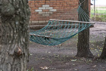 Hammock in the yard between two trees