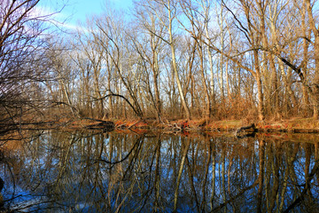 Pond in nature in autumn.