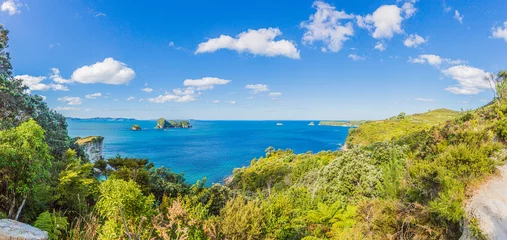 Poster Panoramic view over cliffy shore of Te Whanganui-A-Hei Marine Reserve on Northern island in New Zealand in summer © Aquarius