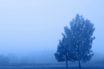 Fototapeta na wymiar Blue misty sad landscape. Classic blue 2020.