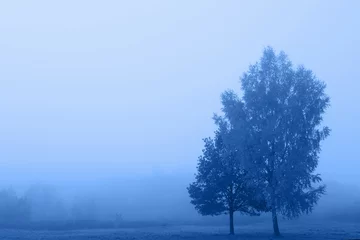 Blaue neblige traurige Landschaft. Klassisch blau 2020. © Maya Kruchancova