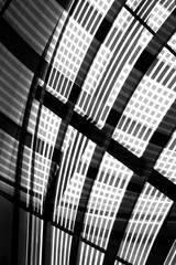 Digitally rendered modern architecture with striped transparent glass grid panels of roof and ceiling. Abstract geometric background with hi-tech pattern of curves in black and white.