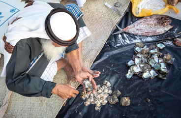 old man looking pearls in oysters