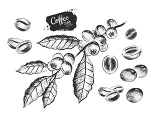 Black and white illustration set of coffee beans
