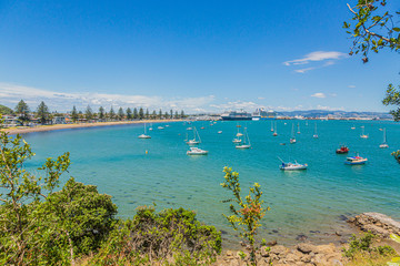 Obraz premium View on harbor and cruise ship terminal of Tauranga city on northern island of New Zealand in summer