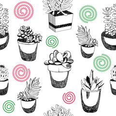 Seamless vector pattern with cactuses in the pots. Colourful modern textile swatch