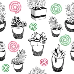 Photo sur Plexiglas Plantes en pots Modèle vectorielle continue avec des cactus dans les pots. Échantillon textile moderne et coloré