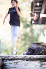 Obraz premium Girl and her dog in the yard