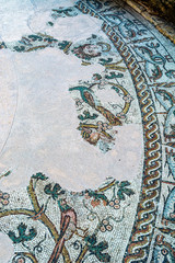 Treviso, ancient Roman mosaic