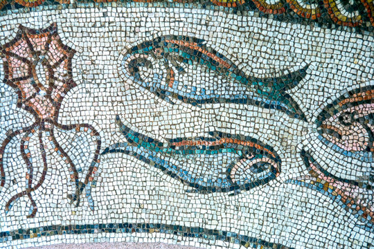 Treviso, ancient Roman mosaic