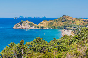 Naklejka premium View on Hahei beach on northern island of New Zealand in summer