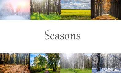 Collage seasons . All season. Seasons in one photo. Winter spring summer autumn. Tree branch. Grass with dew. Nature.