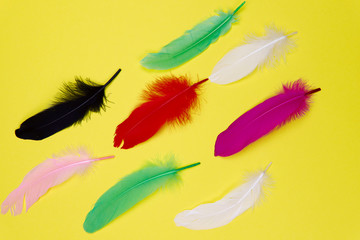 Colored feathers of birds of different colors on a yellow paper background. Horizontal, top view, cropped shot, close-up.