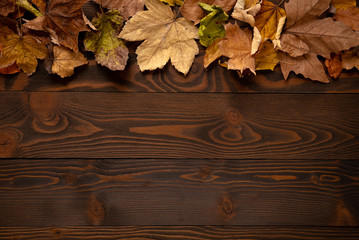 Naklejka na ściany i meble Autumn leaves over light wooden background with copy space