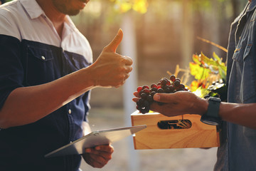 The vineyard farmers brought the bunch of grapes to customers to see and The customer expressed...
