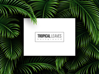 Tropical palm leaves background with copy space. Exotic dark green template for greetings, invitation, cosmetics or spa products, summer seasonal cards. Vector.