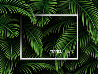 Tropical palm leaves background with copy space. Exotic dark green template for greetings, invitation, cosmetics or spa products, summer seasonal cards. Vector.