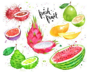 Watercolor hand drawn set of fruit