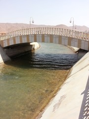 bridge over the river
