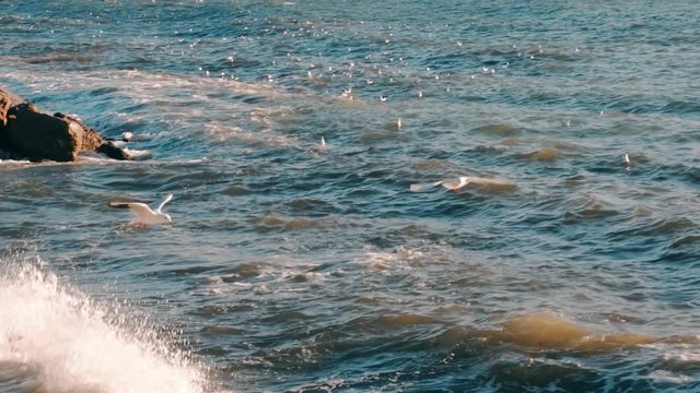 Slow motion seagulls flying over sea waves during stormy weather at daytime in Istanbul.