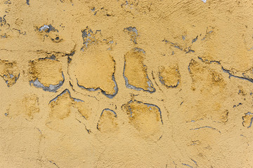 Old damaged paint on a concrete wall
