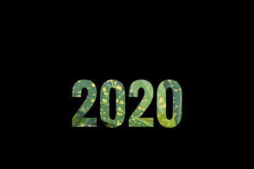 2020 logo for new year celabration