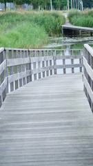 Obraz premium bridge in the park