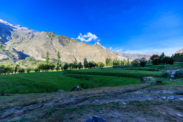 Green field near village Askole (Pakistan) with Karakoram mountain range in the background