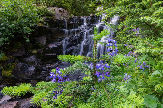 Waterfall at Mount Ranier National Park in Washington State