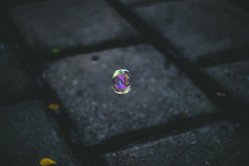 A soap bubble floating in the air