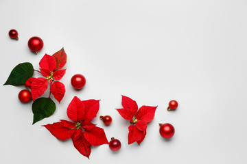 Beautiful Christmas composition with poinsettia on white background