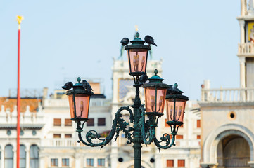 Piazza San Marco with pink streetlight with pigeons in Venice, Italy. Beautiful photo background of the venetian historic place.