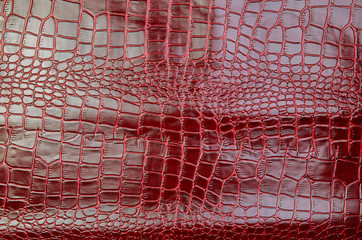 Texture for background red leather crocodile glossy top view
