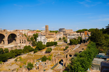 Fototapeta na wymiar Ruins of the Roman Forum at Palatino hill in Roma, Italy, Europe. Famous travel destination. Italian ancient roman architecture aerial view. Landmarks in eternal city. Summer holidays.