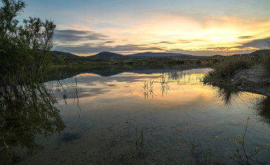 sunset in the lake, reflection of the sun and plants in the water