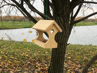 light, wooden birdhouse for birds, suspended on a branch in the park, by the river in the fall