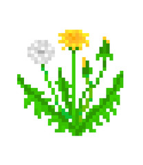 Dandelion, pixel art plant icon isolated on white background. 8 bit lawn flower logo. Old school vintage retro slot machine/video game graphics. Floral symbol of spring. Garden weed illustration.