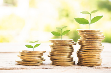 stack of money, rows of coins for finance and banking concept, money growing concept