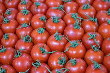 Tomatoes.