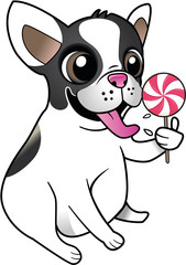 Bouledogue qui lèche une sucette