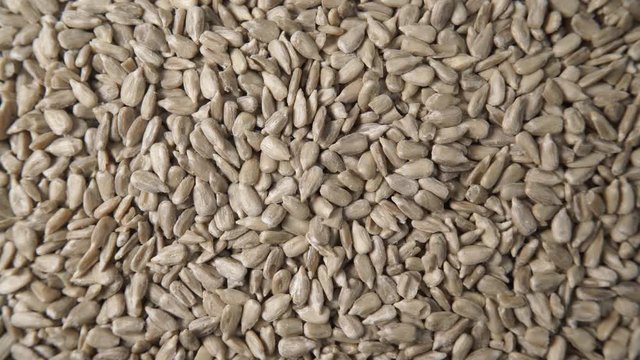 Sunflower seeds as natural food background or texture. Top view. Healthy food