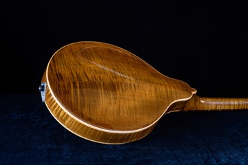 Back of handmade mandolin 