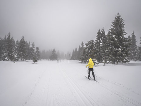 Crosscountry Skiing Between Snow Covered Trees